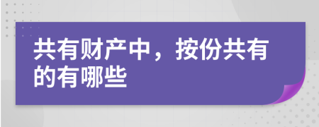 共有財(cái)產(chǎn)中，按份共有的有哪些