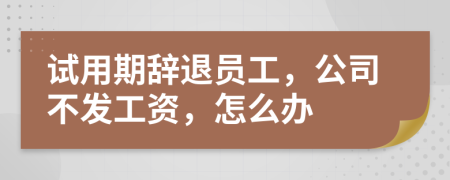 試用期辭退員工，公司不發(fā)工資，怎么辦