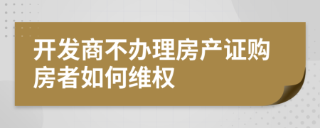 開發(fā)商不辦理房產(chǎn)證購房者如何維權(quán)
