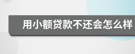 用小額貸款不還會(huì)怎么樣