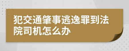 犯交通肇事逃逸罪到法院司機(jī)怎么辦