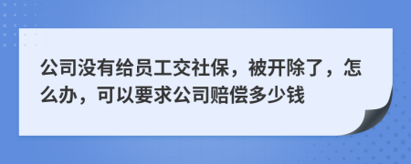 公司沒有給員工交社保，被開除了，怎么辦，可以要求公司賠償多少錢