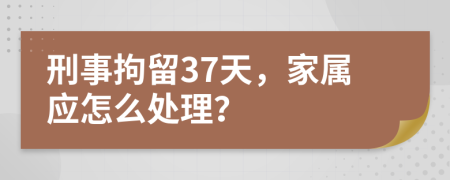 刑事拘留37天，家屬應(yīng)怎么處理？