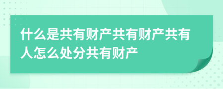 什么是共有財產(chǎn)共有財產(chǎn)共有人怎么處分共有財產(chǎn)