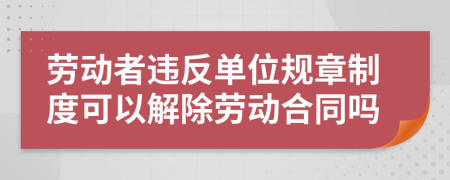勞動(dòng)者違反單位規(guī)章制度可以解除勞動(dòng)合同嗎