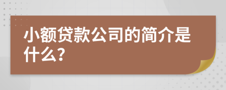 小額貸款公司的簡(jiǎn)介是什么？