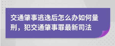 交通肇事逃逸后怎么辦如何量刑，犯交通肇事罪最新司法