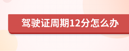 駕駛證周期12分怎么辦