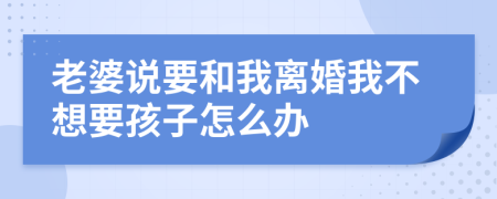 老婆說(shuō)要和我離婚我不想要孩子怎么辦