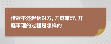 借款不還起訴對方, 開庭審理, 開庭審理的過程是怎樣的