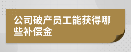 公司破產(chǎn)員工能獲得哪些補償金
