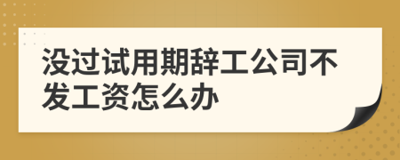 沒過試用期辭工公司不發(fā)工資怎么辦