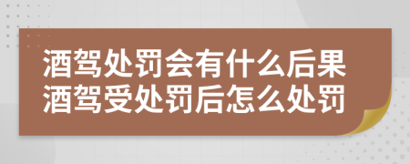 酒駕處罰會(huì)有什么后果酒駕受處罰后怎么處罰
