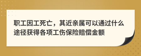 職工因工死亡，其近親屬可以通過(guò)什么途徑獲得各項(xiàng)工傷保險(xiǎn)賠償金額