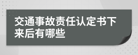 交通事故責(zé)任認(rèn)定書(shū)下來(lái)后有哪些