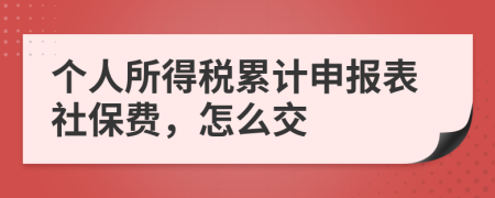 個人所得稅累計申報表社保費，怎么交