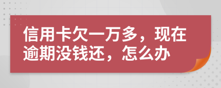 信用卡欠一萬多，現(xiàn)在逾期沒錢還，怎么辦