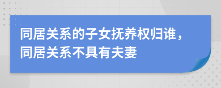 同居關(guān)系的子女撫養(yǎng)權(quán)歸誰，同居關(guān)系不具有夫妻