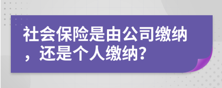 社會保險是由公司繳納，還是個人繳納？