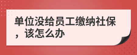 單位沒給員工繳納社保，該怎么辦