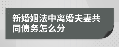 新婚姻法中離婚夫妻共同債務(wù)怎么分
