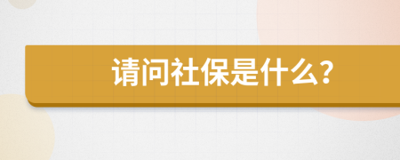 請(qǐng)問(wèn)社保是什么？