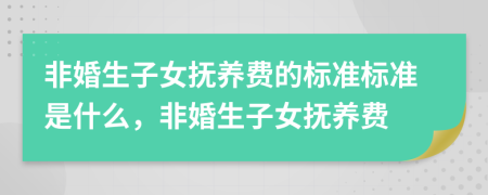 非婚生子女撫養(yǎng)費(fèi)的標(biāo)準(zhǔn)標(biāo)準(zhǔn)是什么，非婚生子女撫養(yǎng)費(fèi)