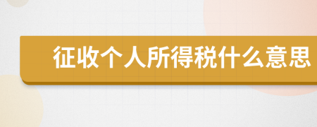 征收個(gè)人所得稅什么意思