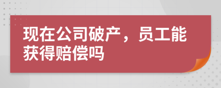 現(xiàn)在公司破產(chǎn)，員工能獲得賠償嗎