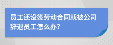 員工還沒簽勞動合同就被公司辭退員工怎么辦？