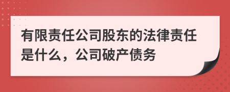 有限責(zé)任公司股東的法律責(zé)任是什么，公司破產(chǎn)債務(wù)