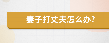 妻子打丈夫怎么辦?