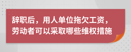 辭職后，用人單位拖欠工資，勞動者可以采取哪些維權(quán)措施