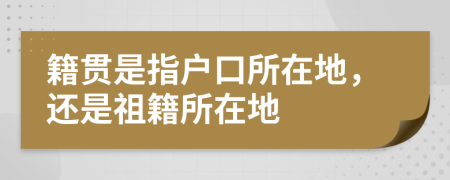 籍貫是指戶口所在地，還是祖籍所在地