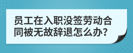 員工在入職沒簽勞動合同被無故辭退怎么辦？