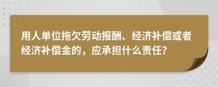 用人單位拖欠勞動報酬、經(jīng)濟補償或者經(jīng)濟補償金的，應(yīng)承擔什么責任？