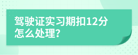 駕駛證實習期扣12分怎么處理？