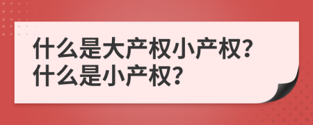 什么是大產權小產權？什么是小產權？