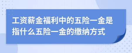 工資薪金福利中的五險一金是指什么五險一金的繳納方式