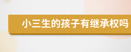 小三生的孩子有繼承權(quán)嗎