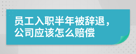 員工入職半年被辭退，公司應(yīng)該怎么賠償