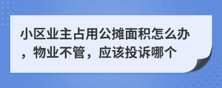 小區(qū)業(yè)主占用公攤面積怎么辦，物業(yè)不管，應(yīng)該投訴哪個(gè)