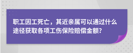 職工因工死亡，其近親屬可以通過(guò)什么途徑獲取各項(xiàng)工傷保險(xiǎn)賠償金額？