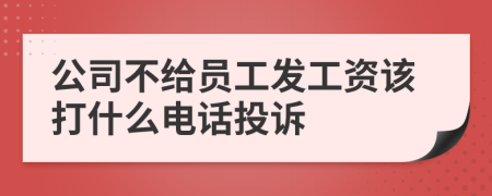 公司不給員工發(fā)工資該打什么電話投訴