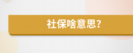 社保啥意思？
