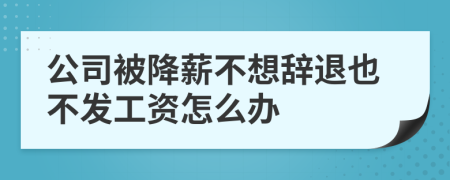 公司被降薪不想辭退也不發(fā)工資怎么辦