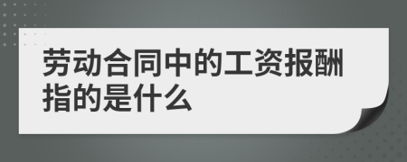 勞動合同中的工資報酬指的是什么