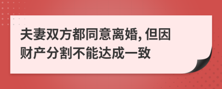 夫妻雙方都同意離婚, 但因財(cái)產(chǎn)分割不能達(dá)成一致