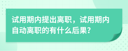 試用期內(nèi)提出離職，試用期內(nèi)自動(dòng)離職的有什么后果？