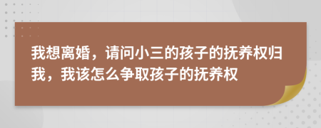 我想離婚，請(qǐng)問(wèn)小三的孩子的撫養(yǎng)權(quán)歸我，我該怎么爭(zhēng)取孩子的撫養(yǎng)權(quán)